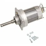 Двигатель для G2500 в сборе CAME 119RIG090